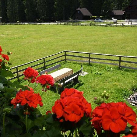 Pocitniska Hisa Jurcek Pokljuka Villa Goreljek Ngoại thất bức ảnh