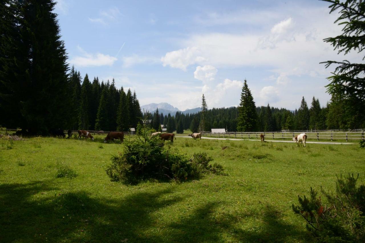 Pocitniska Hisa Jurcek Pokljuka Villa Goreljek Ngoại thất bức ảnh